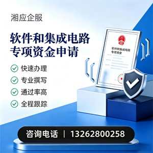 合肥软件和集成电路专项资金申报服务
