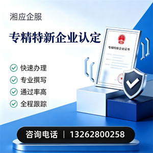 合肥专精特新企业申报服务