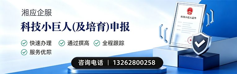 合肥科技小巨人及培育企业申报服务