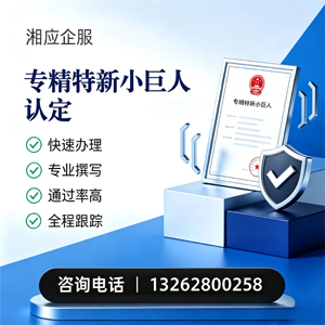 合肥专精特新小巨人申报服务