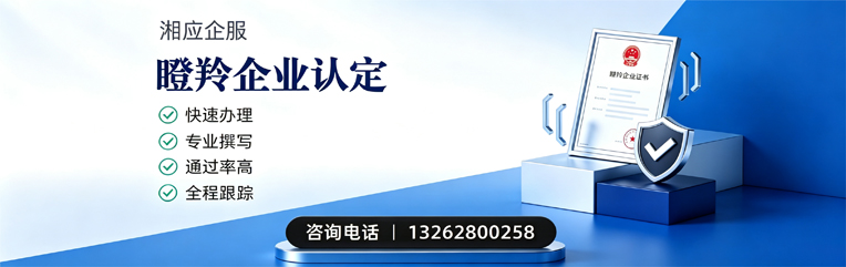 合肥瞪羚企业认定申报服务