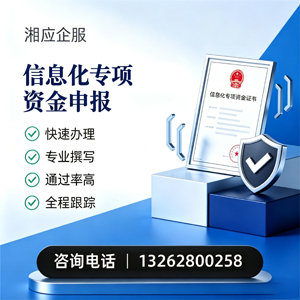 合肥信息化专项资金申报服务