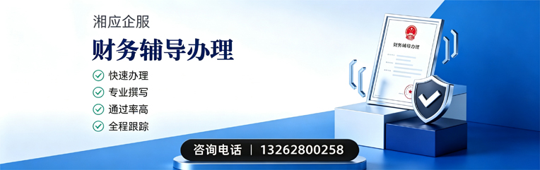合肥财务辅导申请服务