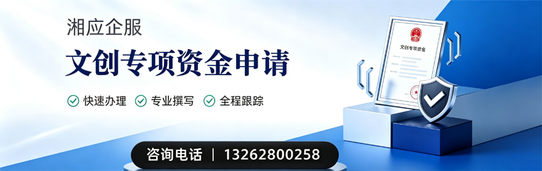 合肥文创专项资金申报服务