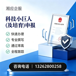合肥科技小巨人及培育企业申报服务
