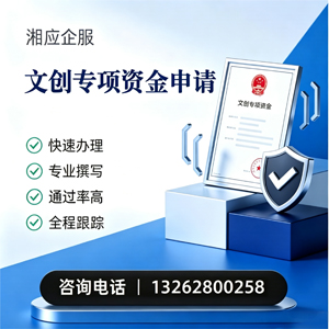 合肥文创专项资金申报服务