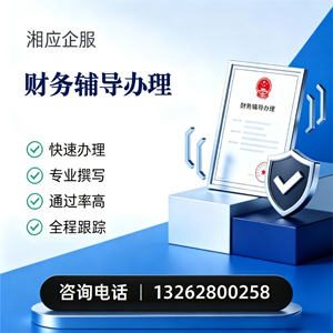 合肥财务辅导申请服务