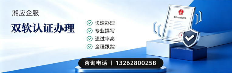 合肥双软认证申报服务