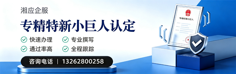 合肥专精特新小巨人申报服务